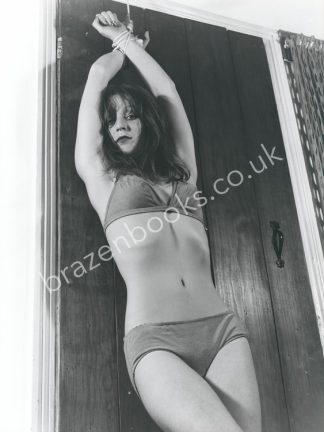 Glamour Pin-Up Porn Prints From The 1970s