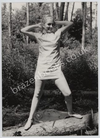 Mystery Model - Original 1960s Prints From Spick and Span
