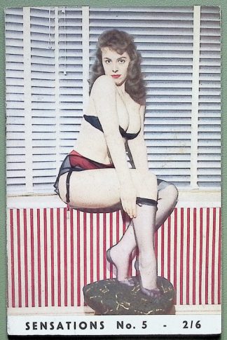 Ben's Books - A5 - digest size - pin-up - 1960s