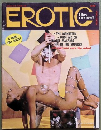 Erotic Film Reviews - USA - 1960s - blue movies - porn films