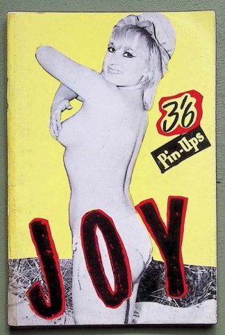 pin-up - small format - 1960s