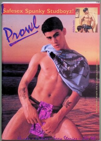 Cover of an adults-only porn magazine: shirtless man at sunset pulling down purple underwear; logos and a small inset image visible in the corner.