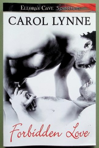 Gay fiction - erotic fiction - erotica